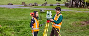 Diploma in Survey  Image